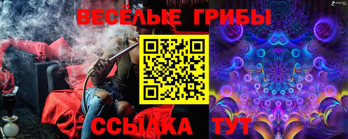 Псилоцибиновые грибы Cubensis Похвистнево