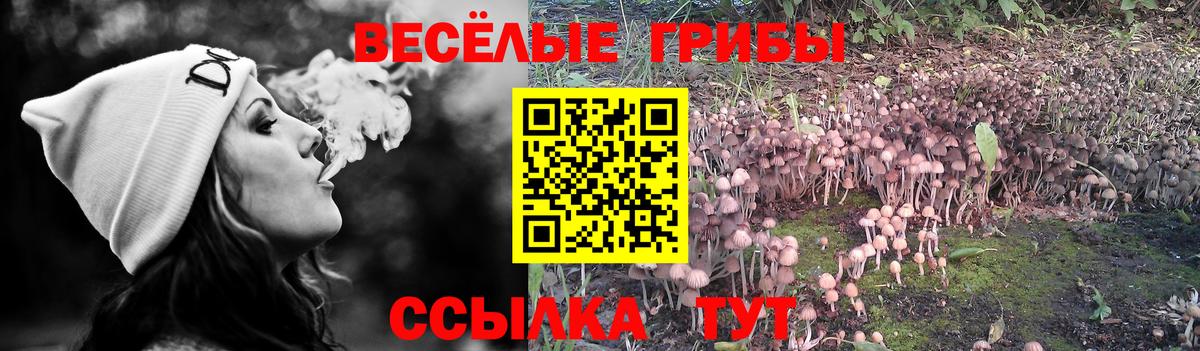 Галлюциногенные грибы мухоморы  даркнет сайт  Похвистнево  Псилоцибиновые грибы мухоморы  Вход с VPN 